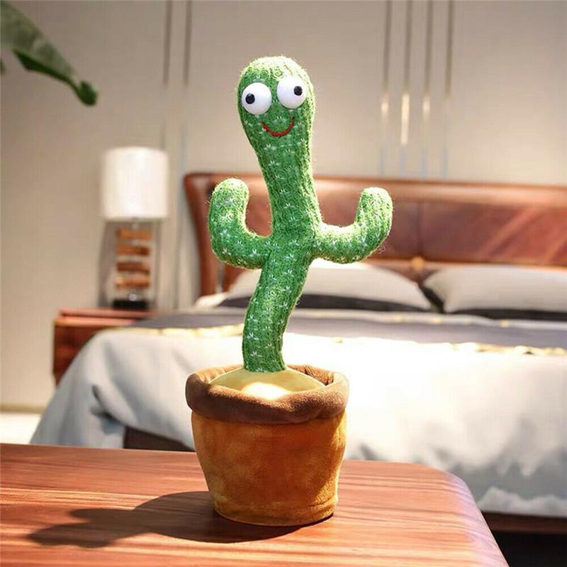 Cornelis Cactus