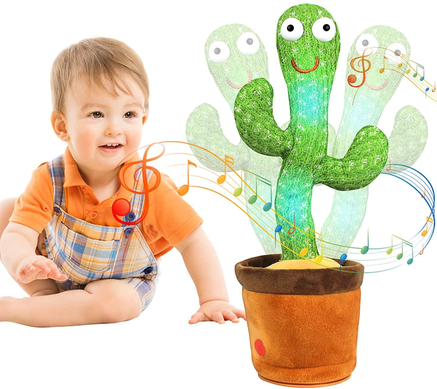 Cornelis Cactus