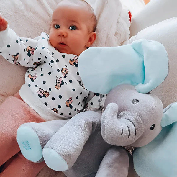 Kiekeboe Olifant