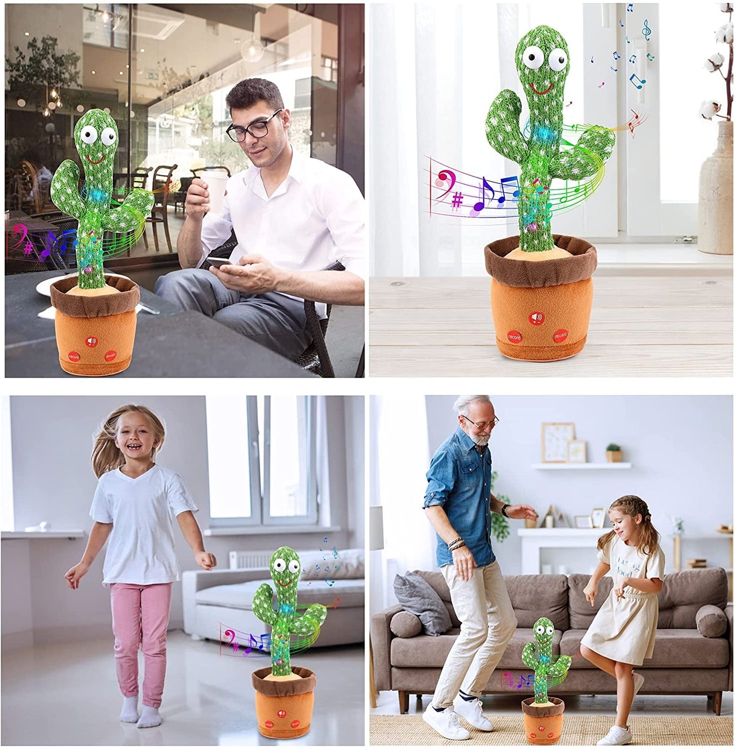 Cornelis Cactus