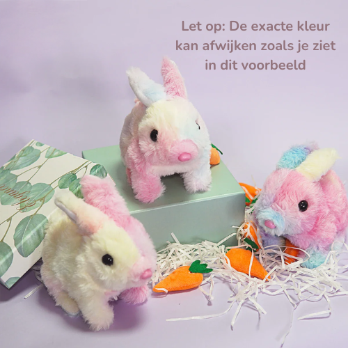 Hop & Kwispel - Jouw Favoriete Huisdieren