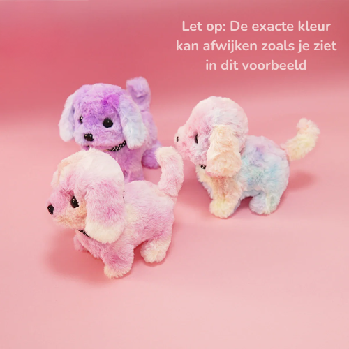 Hop & Kwispel - Jouw Favoriete Huisdieren