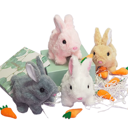 Hop & Kwispel - Jouw Favoriete Huisdieren
