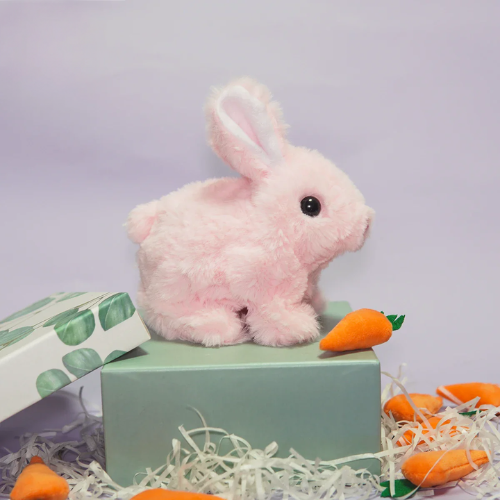 Hop & Kwispel - Jouw Favoriete Huisdieren