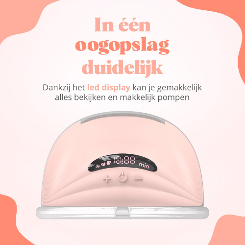 Bapooh Borstkolf 2 stuks