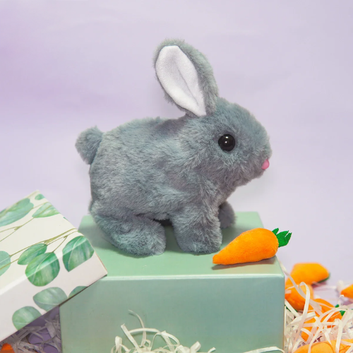 Hop & Kwispel - Jouw Favoriete Huisdieren