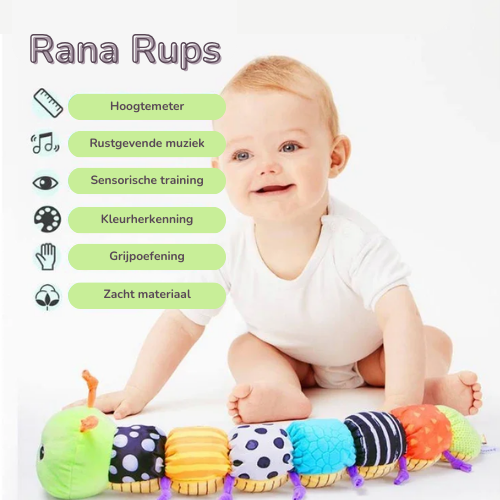Rana Rups