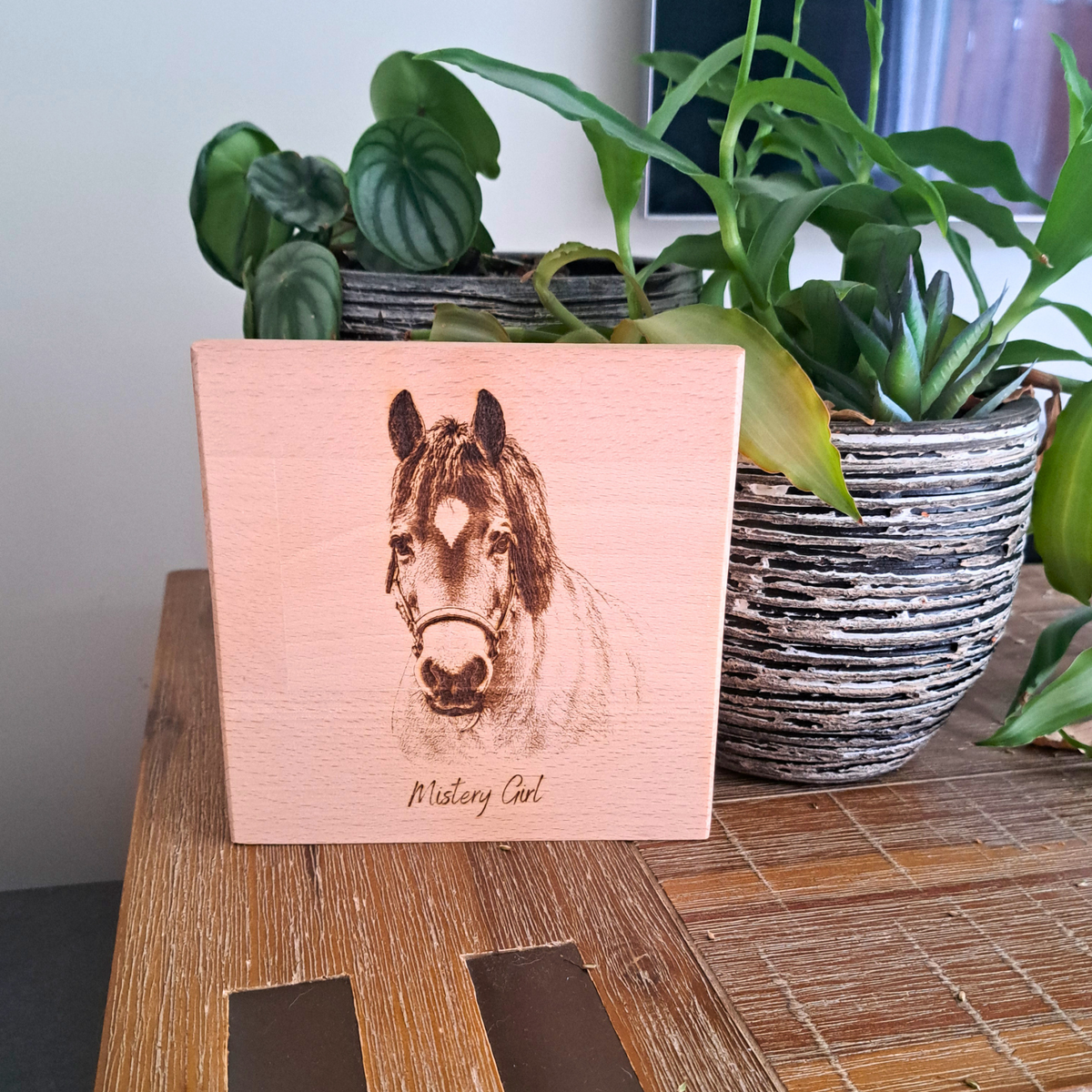 Paardenportret