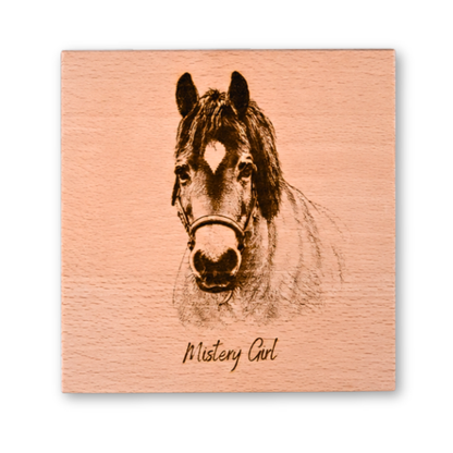 Paardenportret