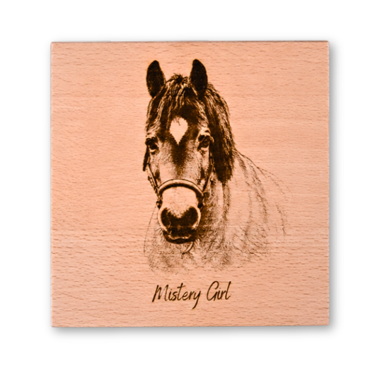 Paardenportret